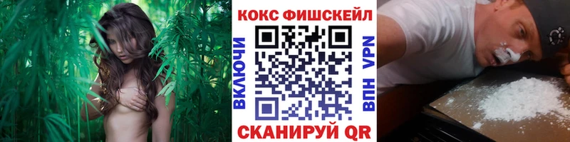 Кокаин Fish Scale  это формула  Гремячинск  купить закладку 