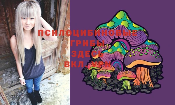 мдпв Балахна