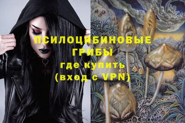 PSILOCYBIN Балабаново