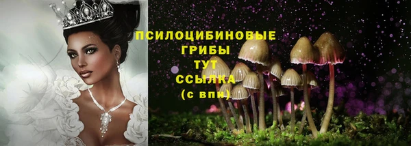 PSILOCYBIN Балабаново