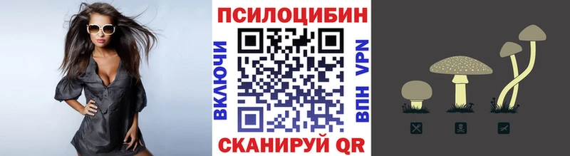 Псилоцибиновые грибы мицелий  Гремячинск 